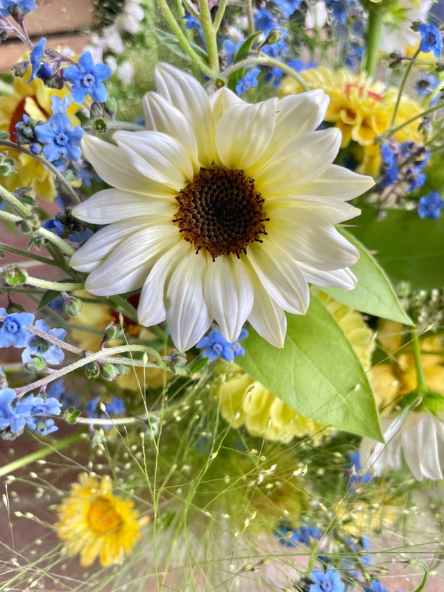 2026 Flower Subscriptions | Fishers Flower Farm
