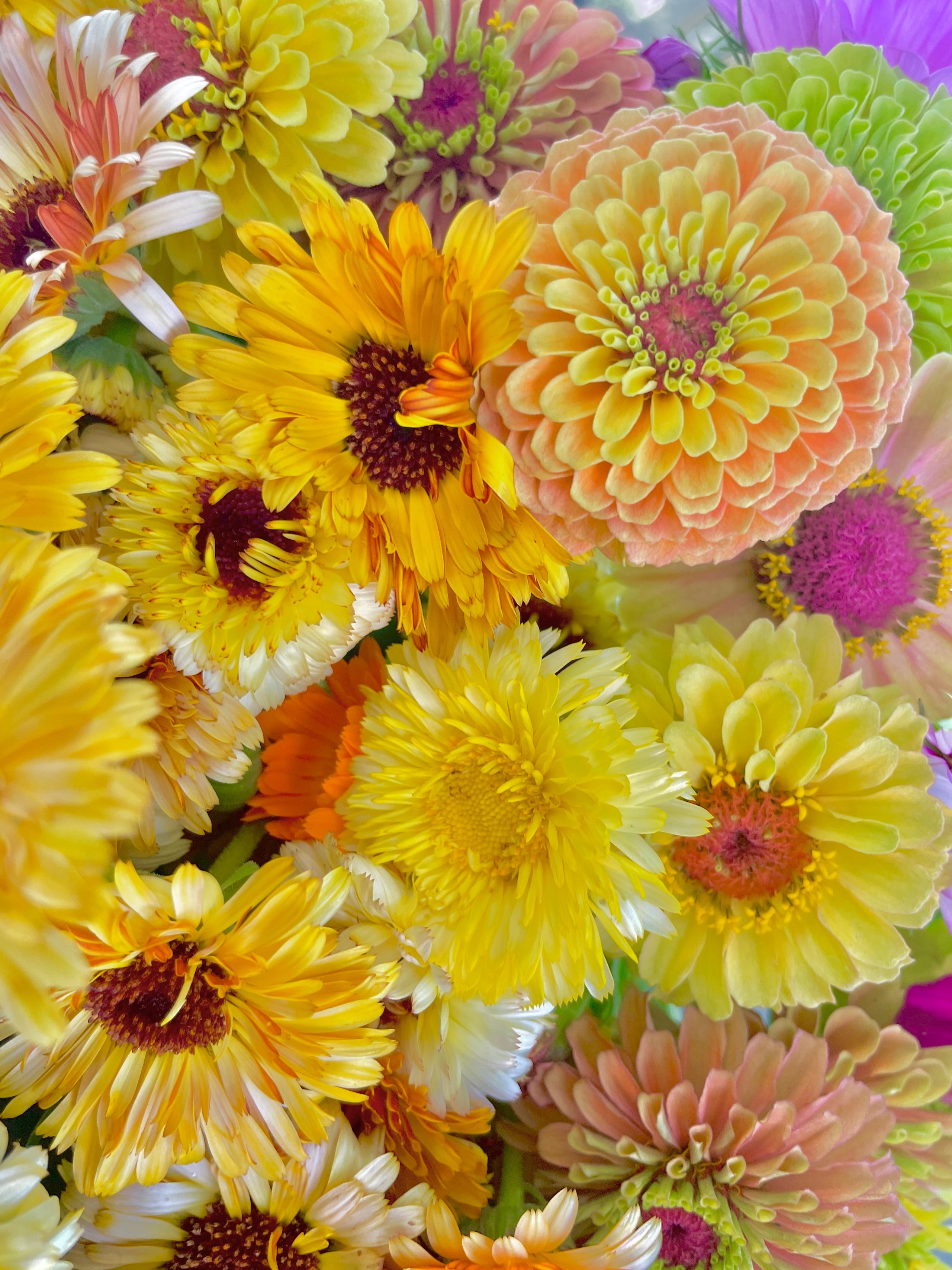 2024 Biweekly Flower Subscription Delivery Fishers Flower Farm